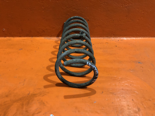 Пружина задняя NISSAN AD Y10 5502069R10